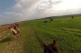 /album/foto1/dsc-0606-2-13-jpg/